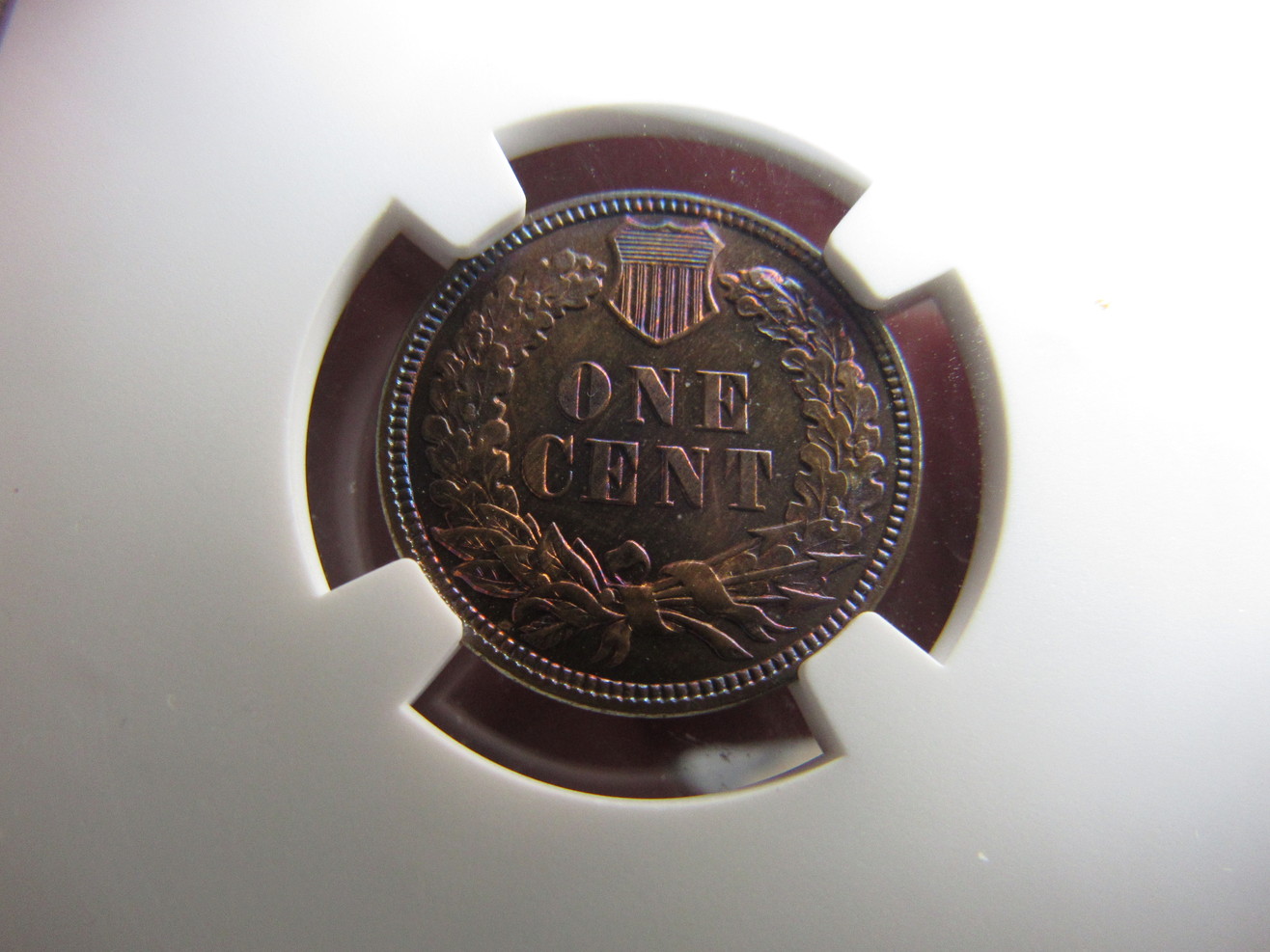 1884-Indian-Cent-PR-65-BN---NGC---Colorful--A-Different-One