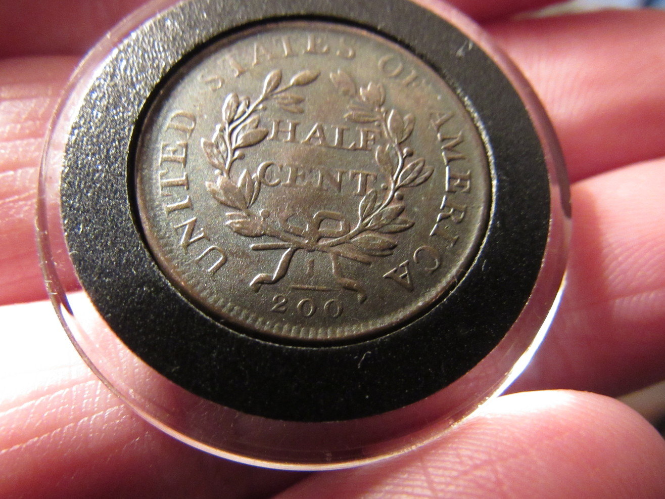5-Draped-Bust-Half-Cents-Raw-Ungraded