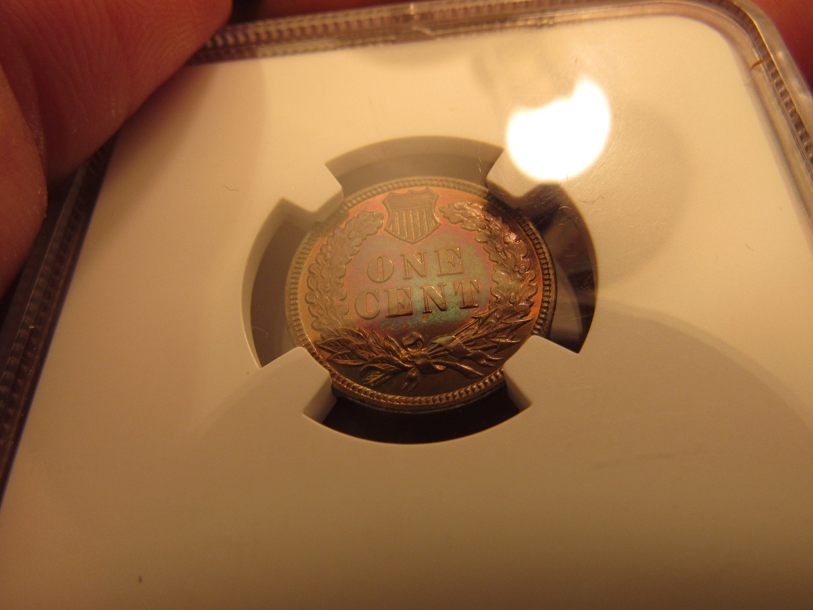 1884-Proof-65-IHP-Brown-With-Nice-Color
