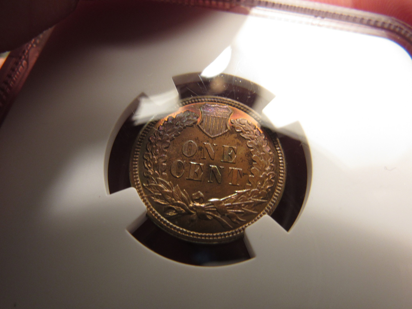 1884-Proof-65-IHP-Brown-With-Nice-Color