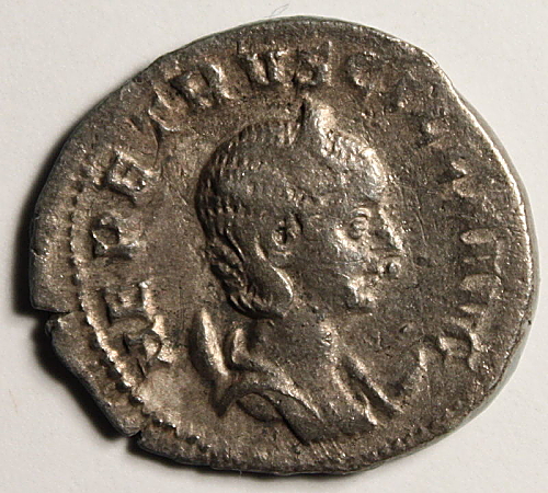 Herennia-Etruscilla-New-Coin.