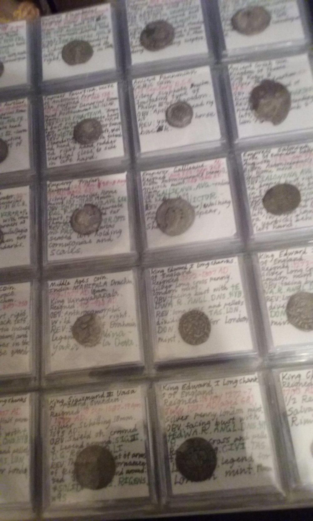 How-Do-You-Guys-Store-You-Raw-Ancients?