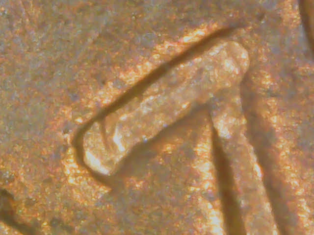 New-1970-D-LMC-DDO?-Can't-Find-Anything-On-This-One