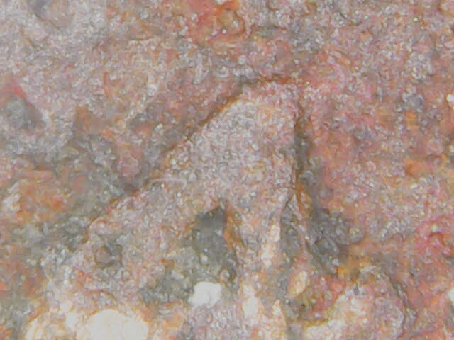 1947-Wheat-Cent-DDO-Possibly?-Are-These-Rare?