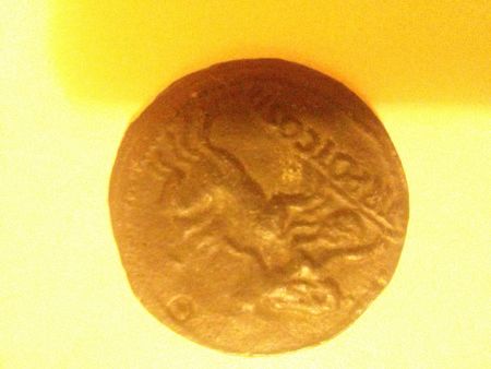 Coins
