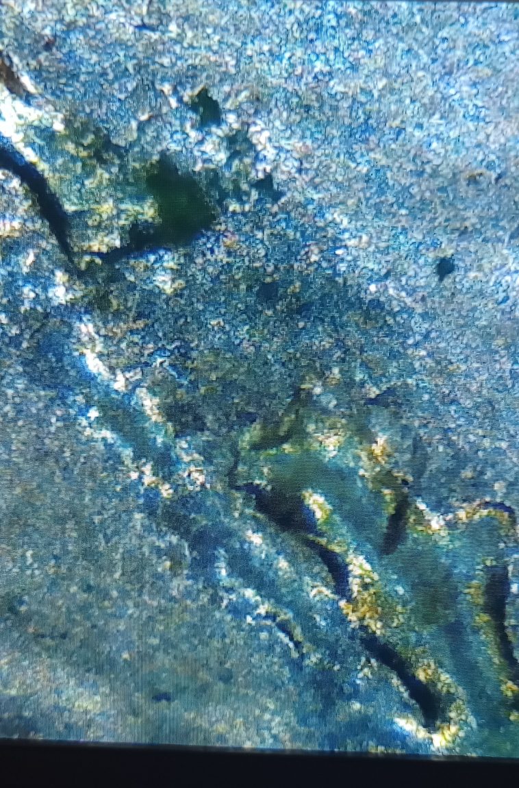 2018-Wisconsin-Quarter-Die-Cracks?-River-Into-Mountain