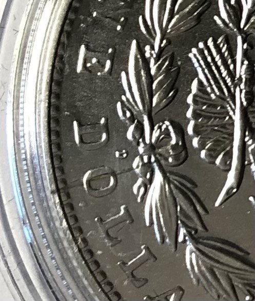 2021-D-Morgan-Dollar-Error