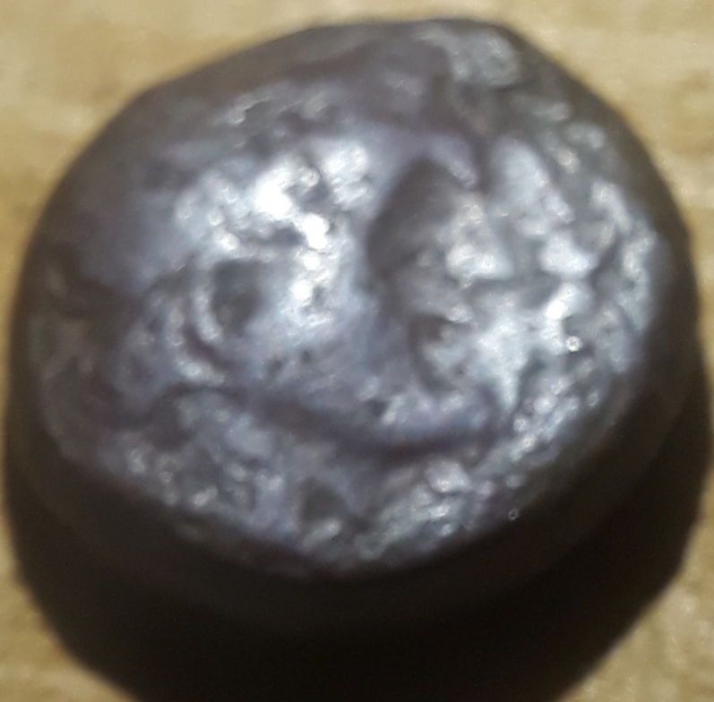 Unidentified-Heirloom-First-Time-Posting.
