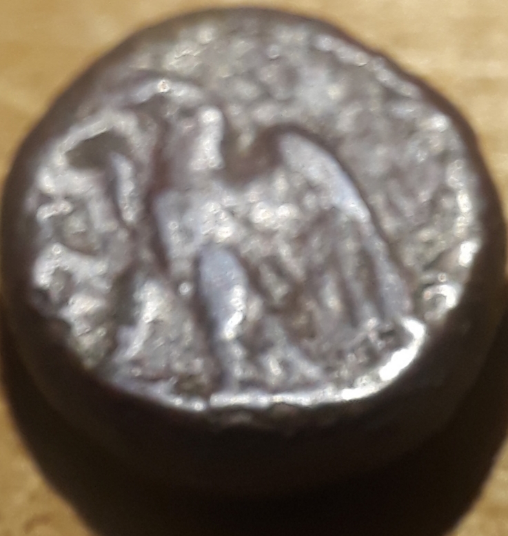Unidentified-Heirloom-First-Time-Posting.