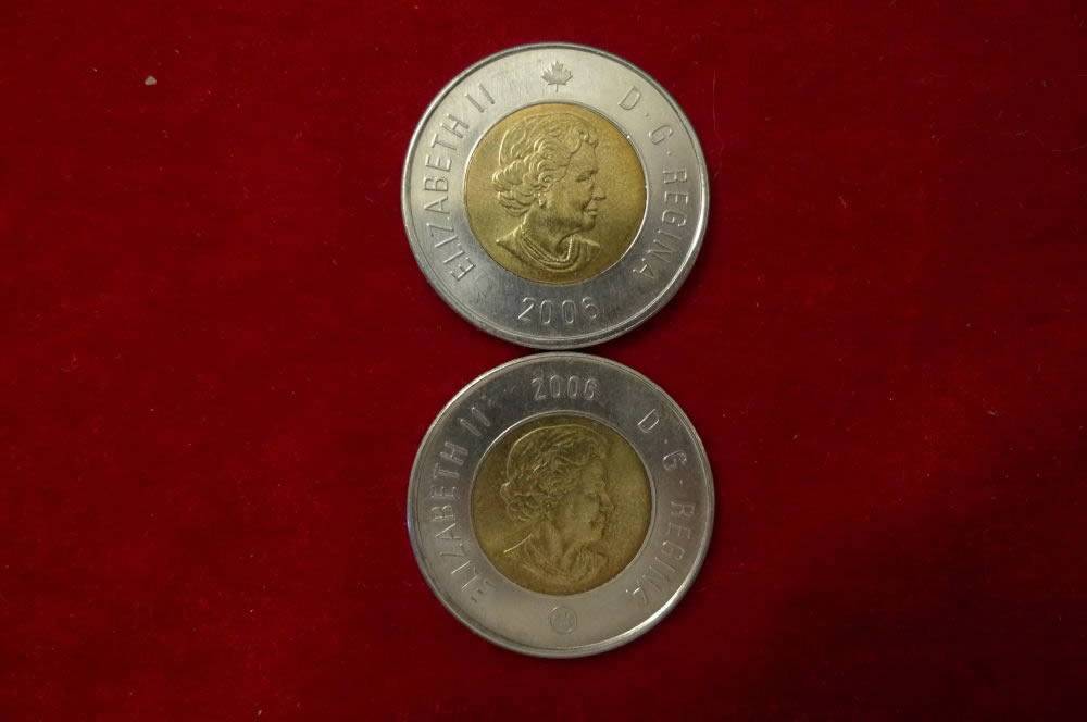 Toonies:-Thoughts-&-Questions