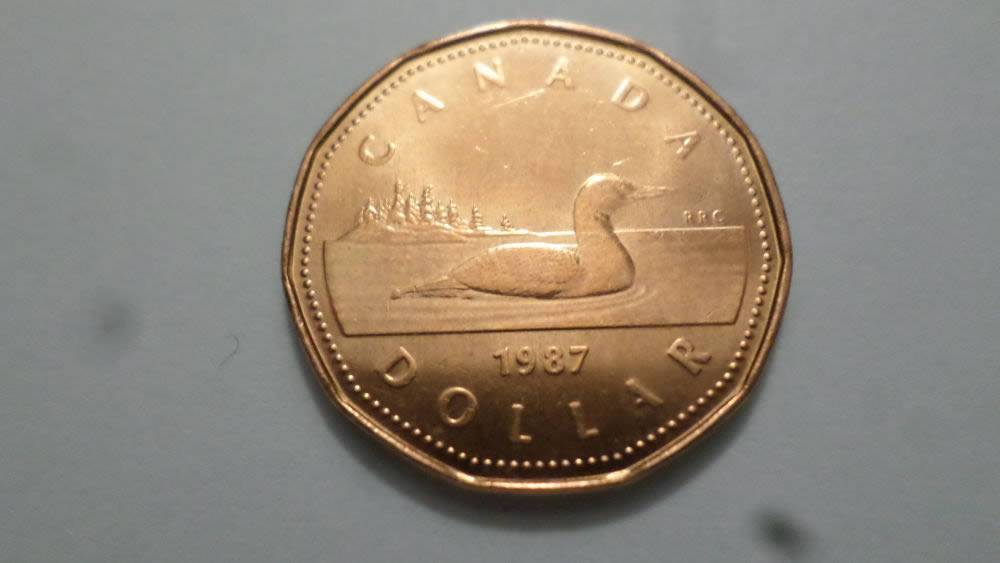 Counterfeit-1987-Loonie