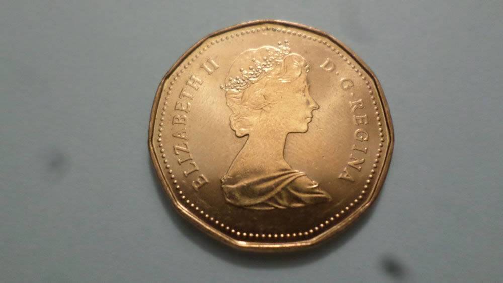 Counterfeit-1987-Loonie