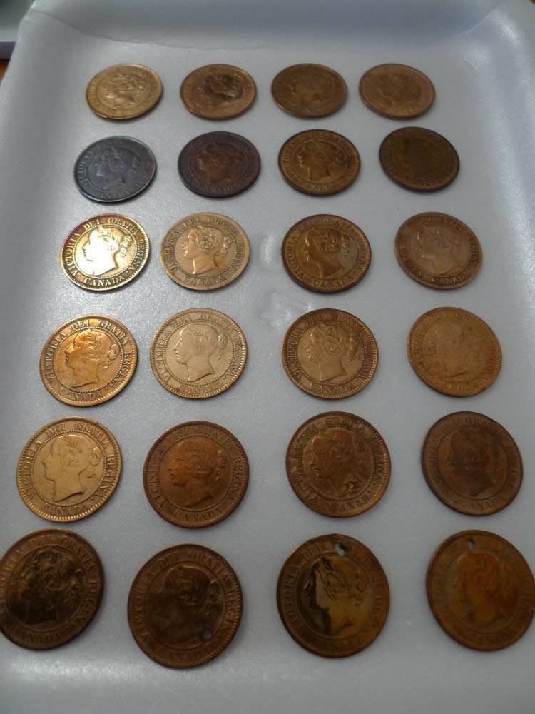 1-Cent-1859-Bronze-*-Cleaned*