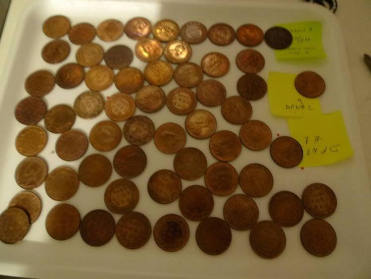 1-Cent-1859-Bronze-*-Cleaned*