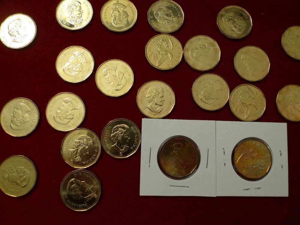 Canada-Lucky-Loonie-1-Dollar-2008