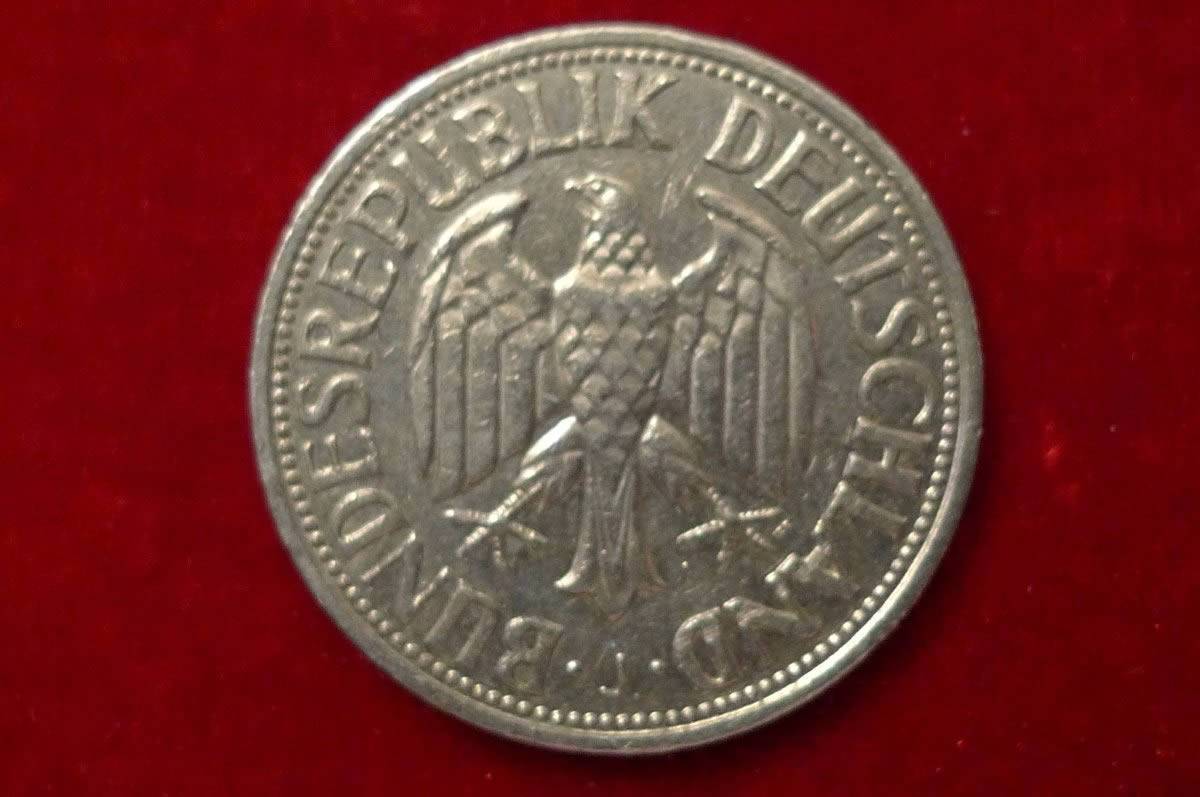 What's-Your-Favorite-Eagle?