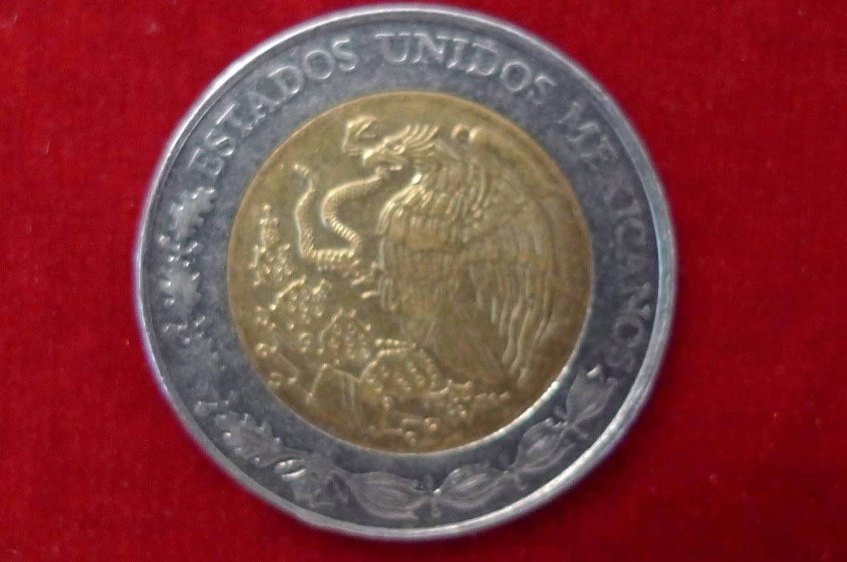 What's-Your-Favorite-Eagle?