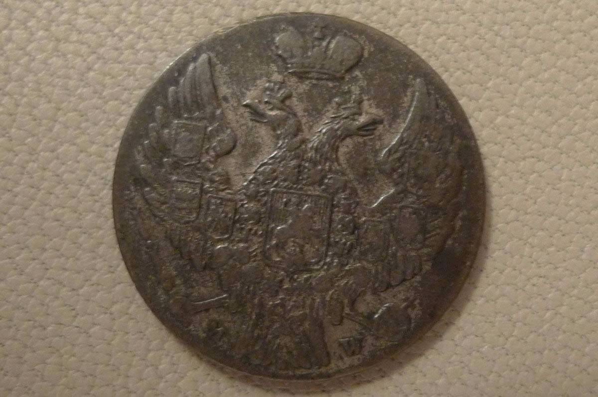 Post-Your-Coins-With-Horses