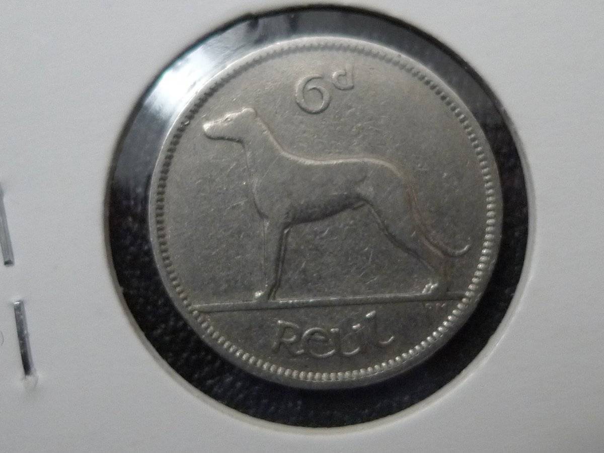 Post-Your-Coins-Representing-The-Animal-Kingdom.