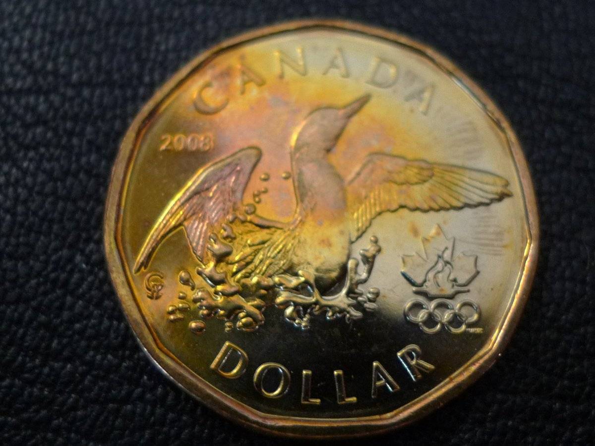 Post-Your-Coins-Representing-The-Animal-Kingdom.