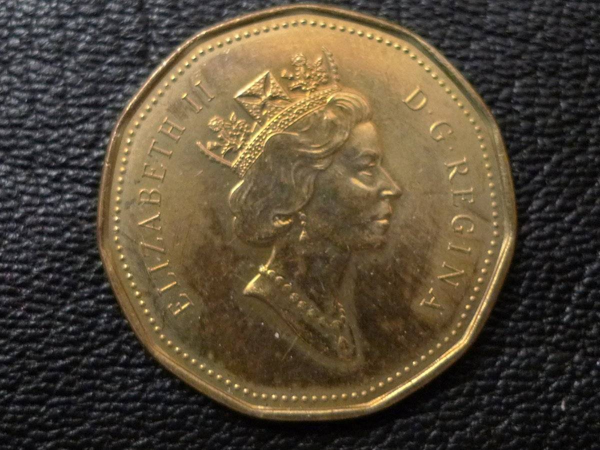 Post-Your-Coins-Representing-The-Animal-Kingdom.