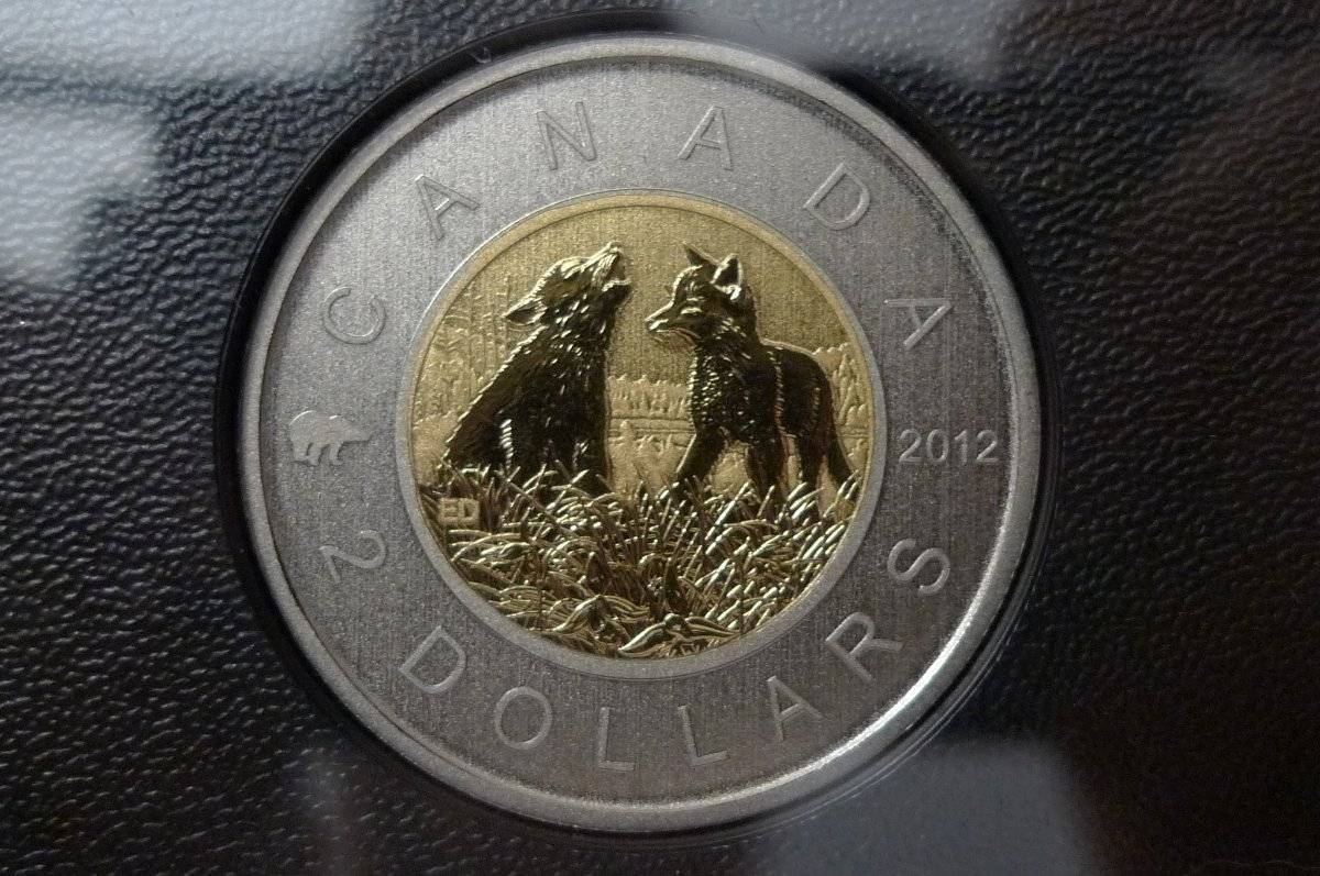 Post-Your-Coins-Representing-The-Animal-Kingdom.