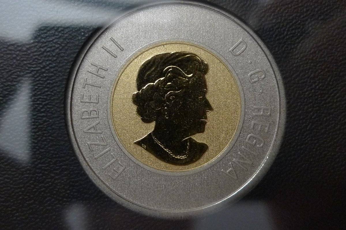 Post-Your-Coins-Representing-The-Animal-Kingdom.