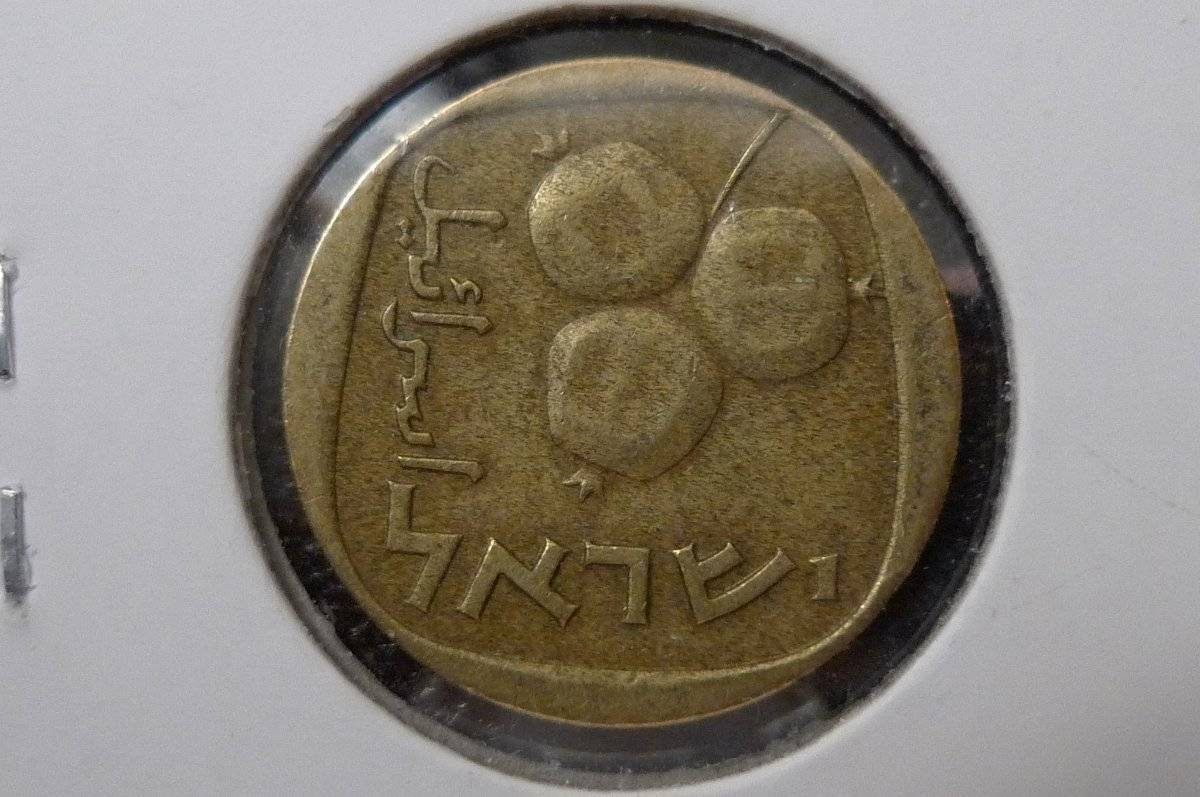 166-Days-Of-Yakko's-World-Coins