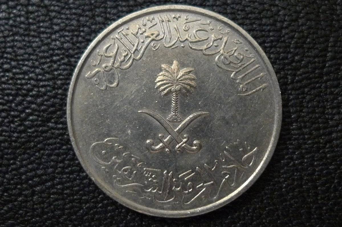166-Days-Of-Yakko's-World-Coins