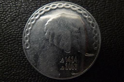 166-Days-Of-Yakko's-World-Coins