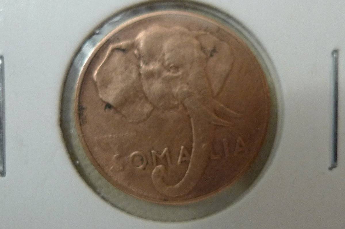166-Days-Of-Yakko's-World-Coins