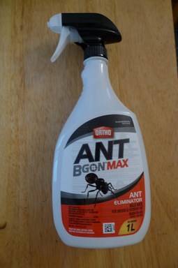 Ant-Infested-Uncirculated-Sets