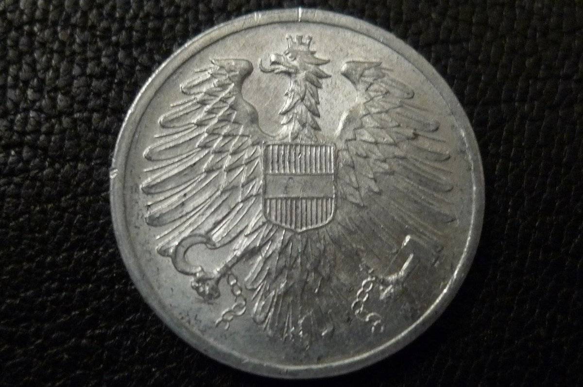 Post-Your-Coins-Representing-The-Animal-Kingdom.