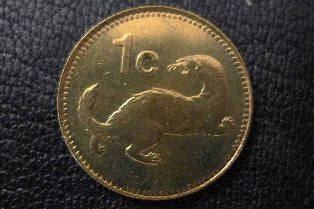 Post-Your-Coins-Representing-The-Animal-Kingdom.