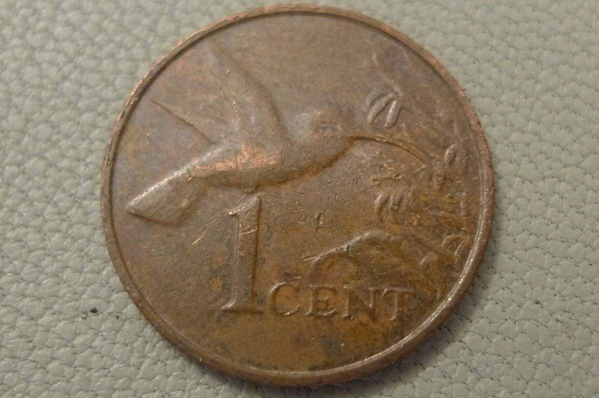 Post-Your-Coins-Representing-The-Animal-Kingdom.