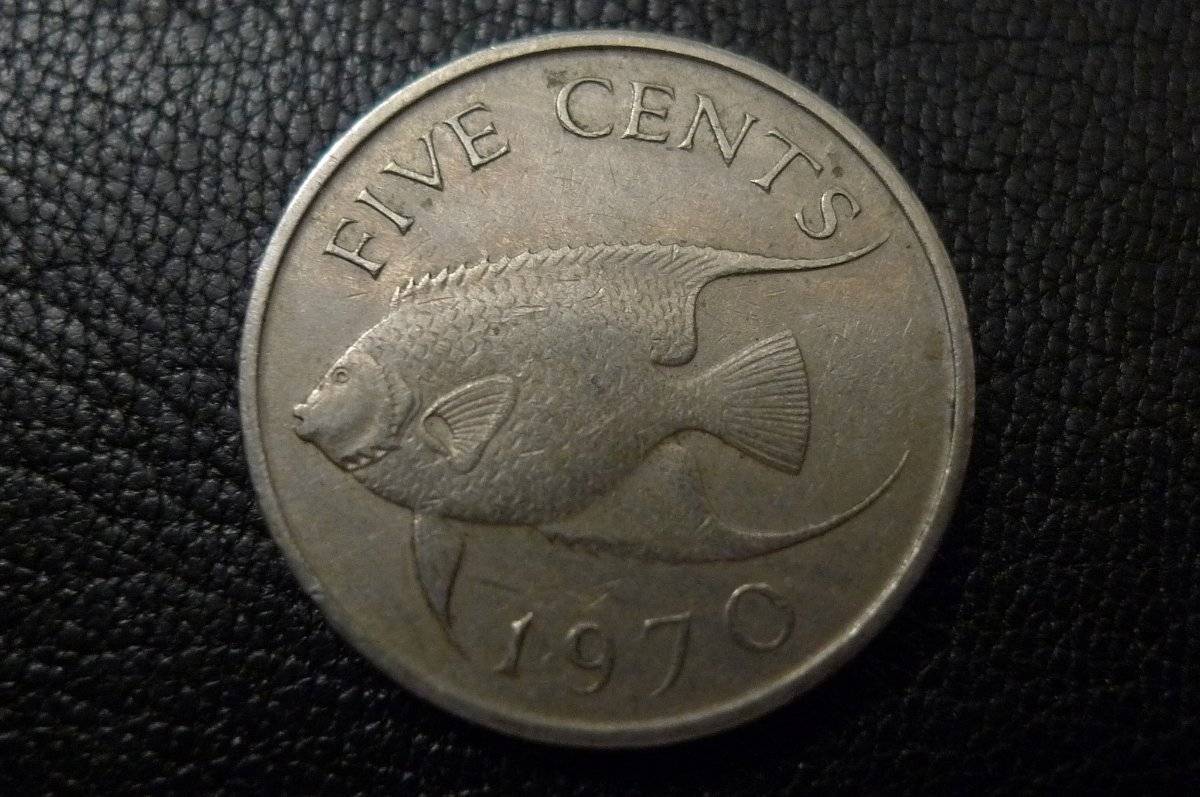Post-Your-Coins-Representing-The-Animal-Kingdom.