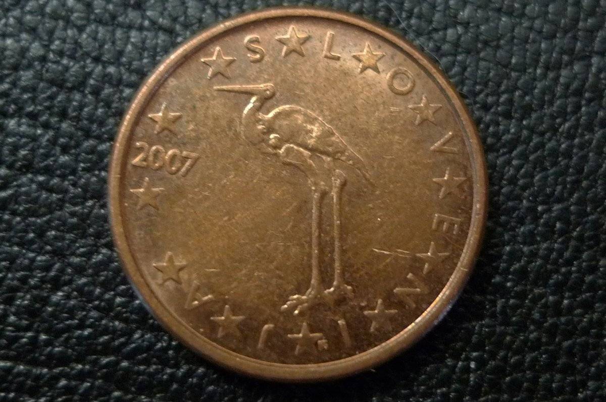 Post-Your-Coins-Representing-The-Animal-Kingdom.