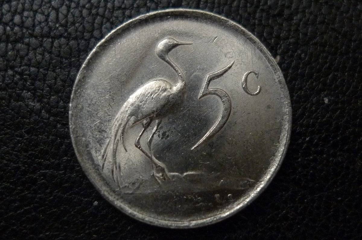 Post-Your-Coins-Representing-The-Animal-Kingdom.