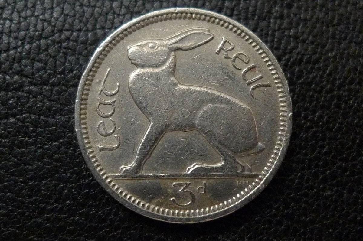 Post-Your-Coins-Representing-The-Animal-Kingdom.