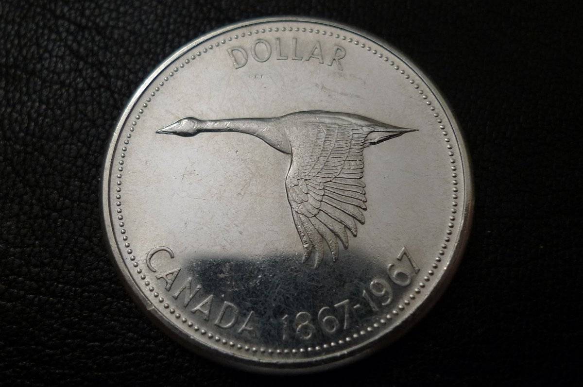 Post-Your-Commemorative-Coins-Here