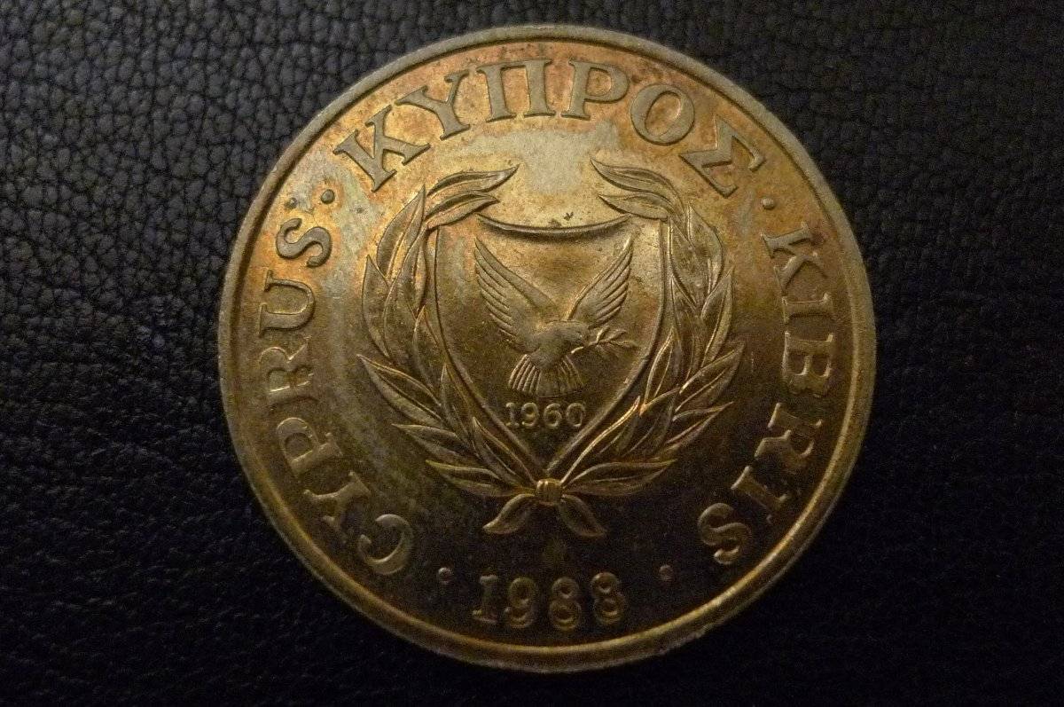 Post-Your-Coins-Representing-The-Animal-Kingdom.