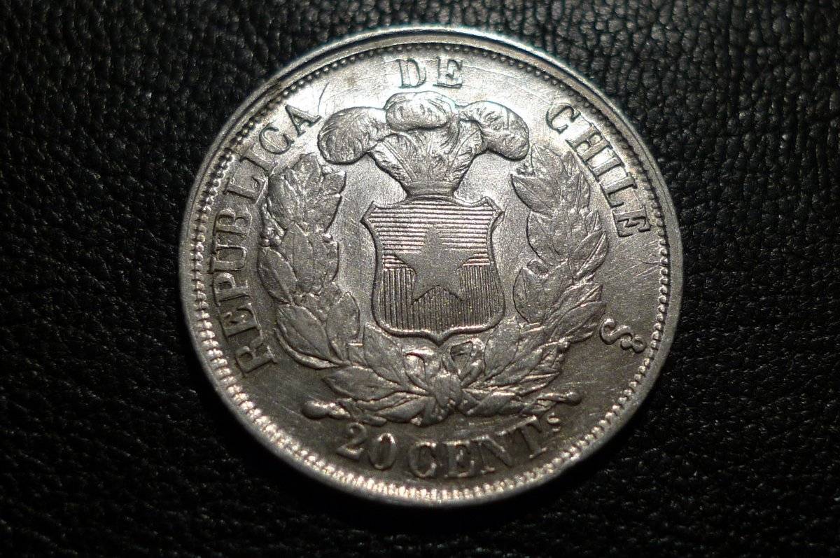 Post-Your-Coins-Representing-The-Animal-Kingdom.