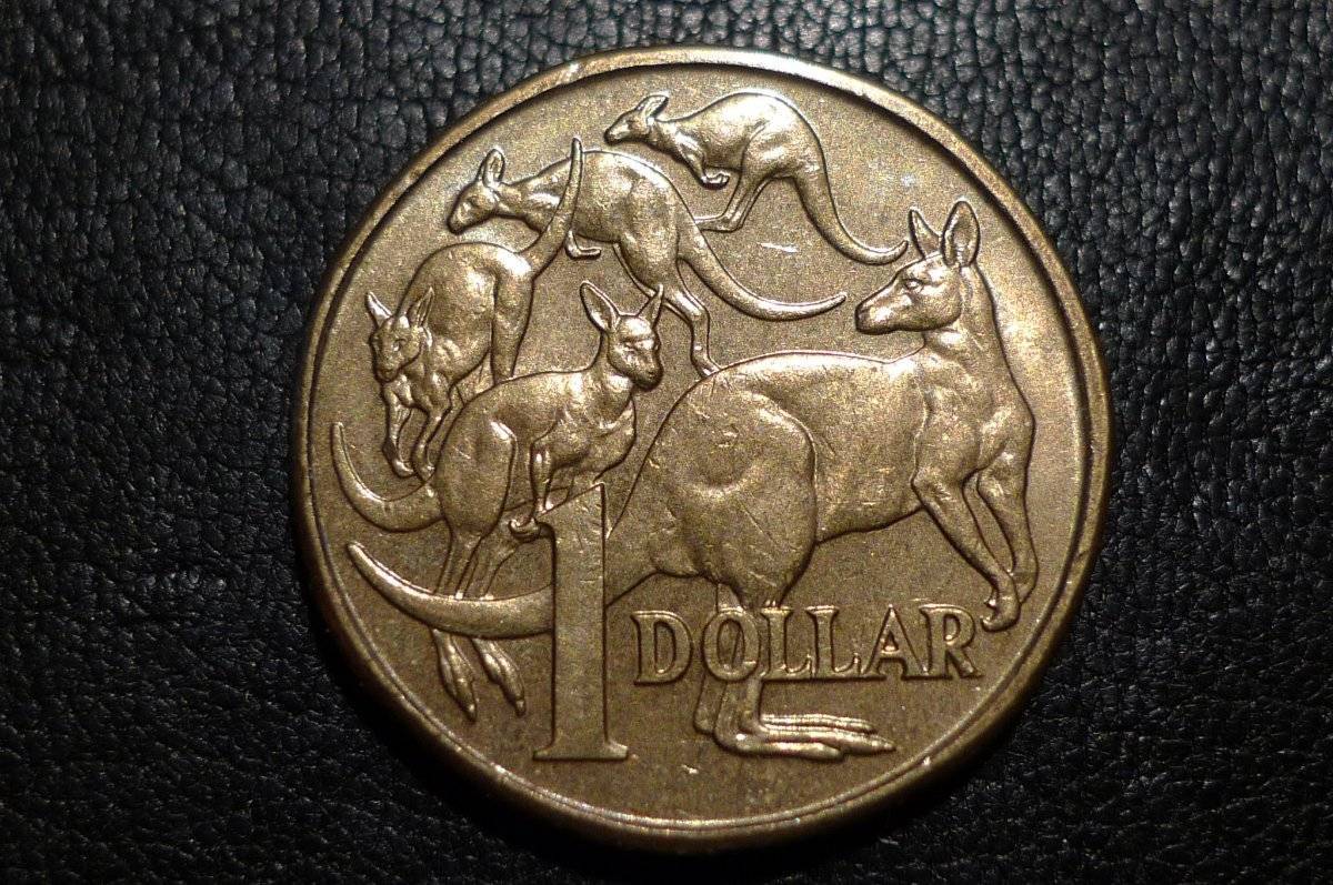 Post-Your-Coins-With-Hats