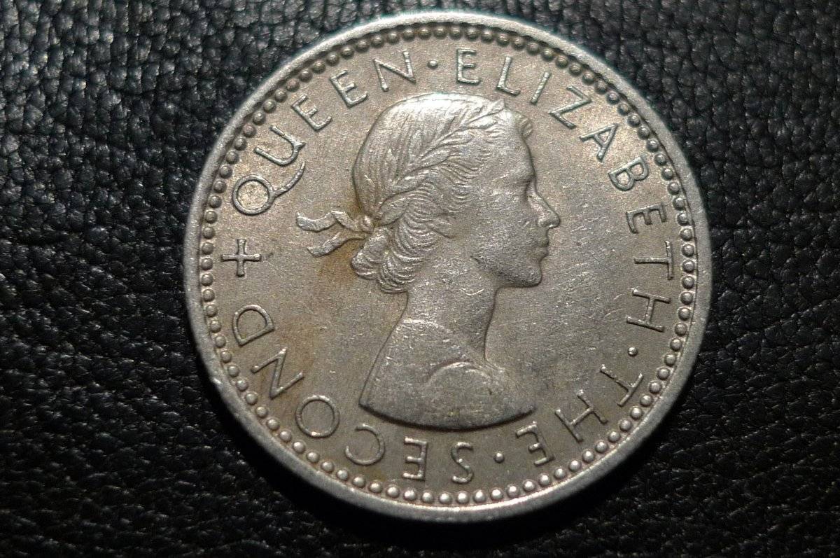 Post-Your-Coins-Representing-The-Animal-Kingdom.