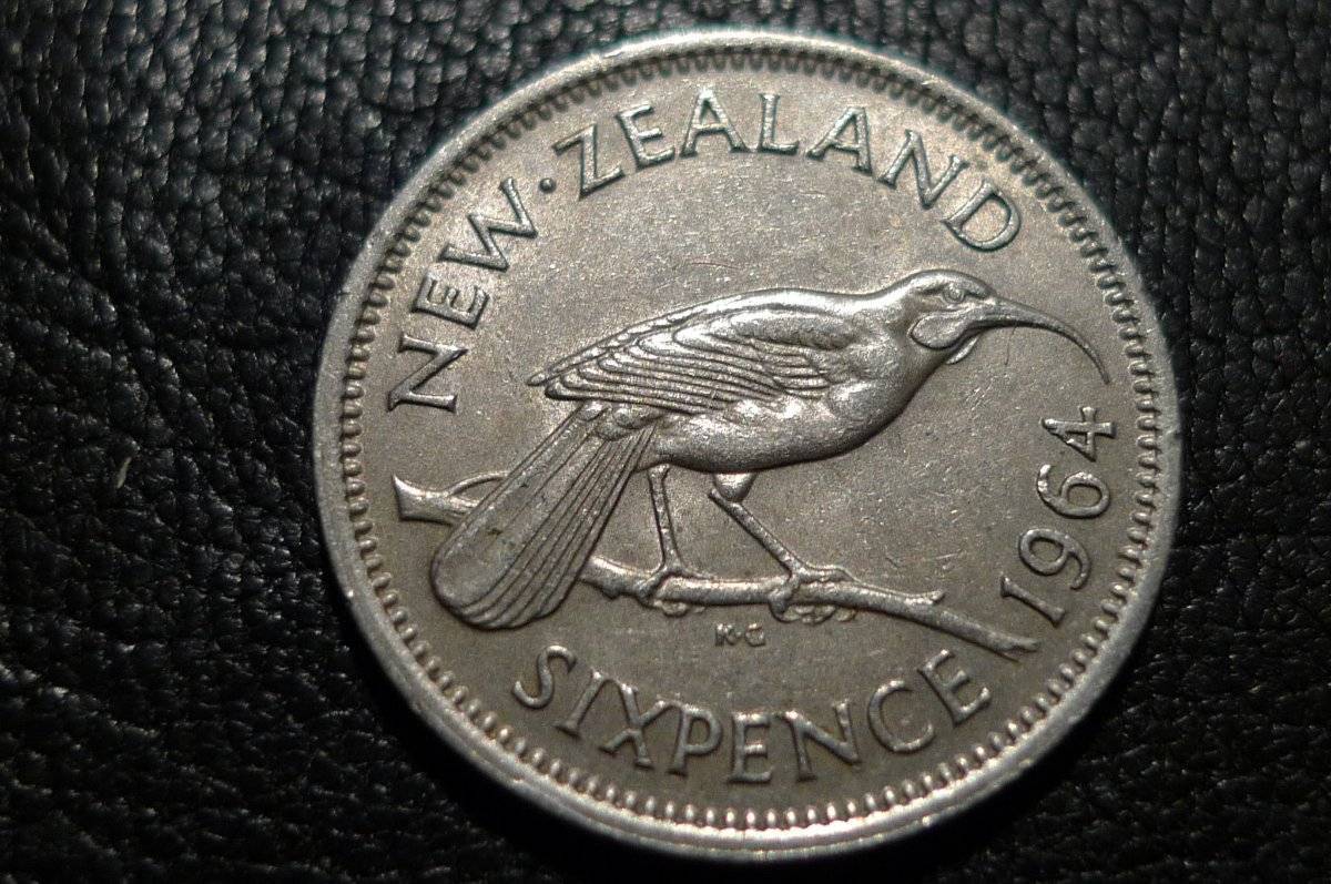 Post-Your-Coins-Representing-The-Animal-Kingdom.