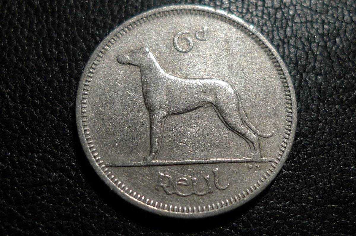 Post-Your-Coins-Representing-The-Animal-Kingdom.