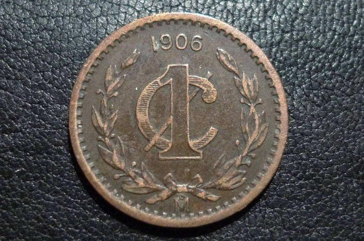 Post-Your-Coins-Representing-The-Animal-Kingdom.