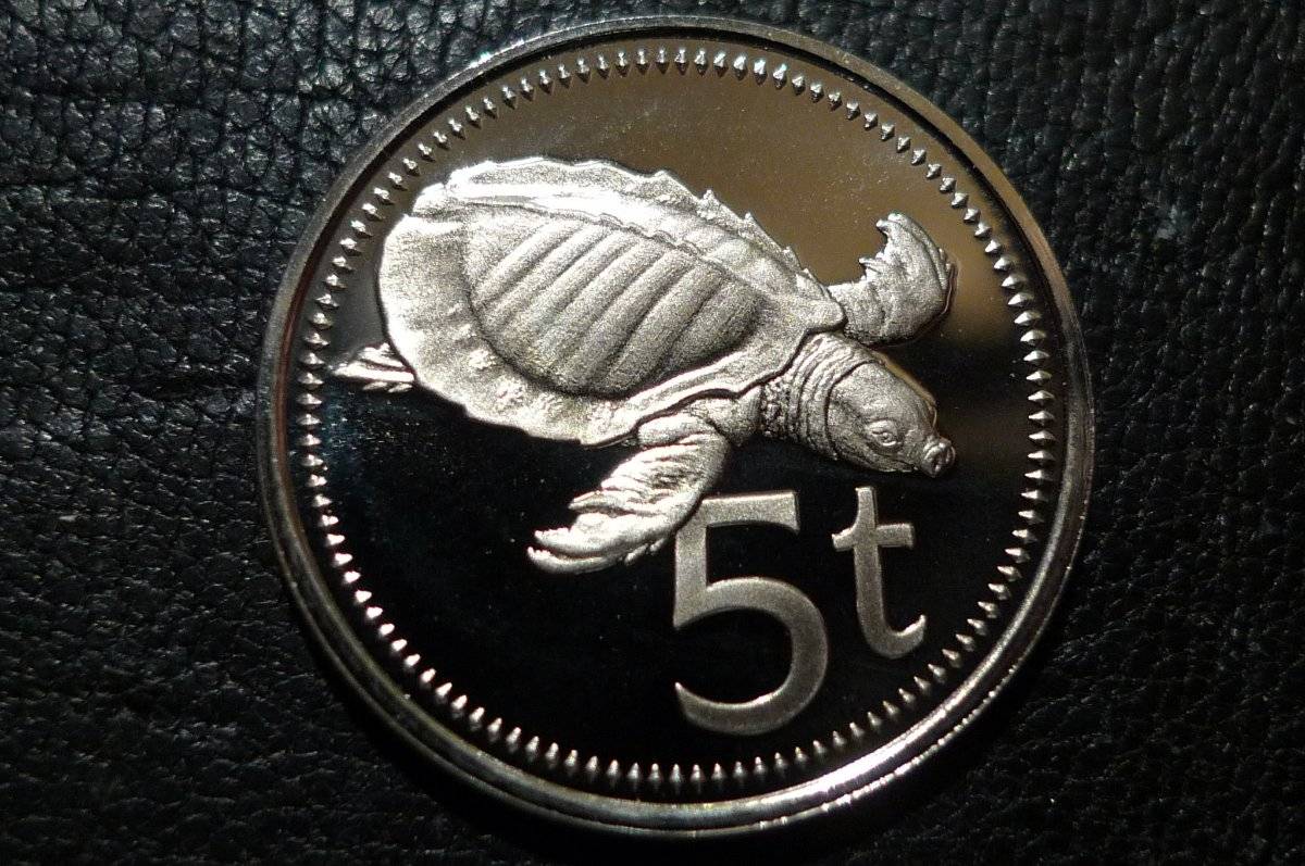 Post-Your-Coins-Representing-The-Animal-Kingdom.