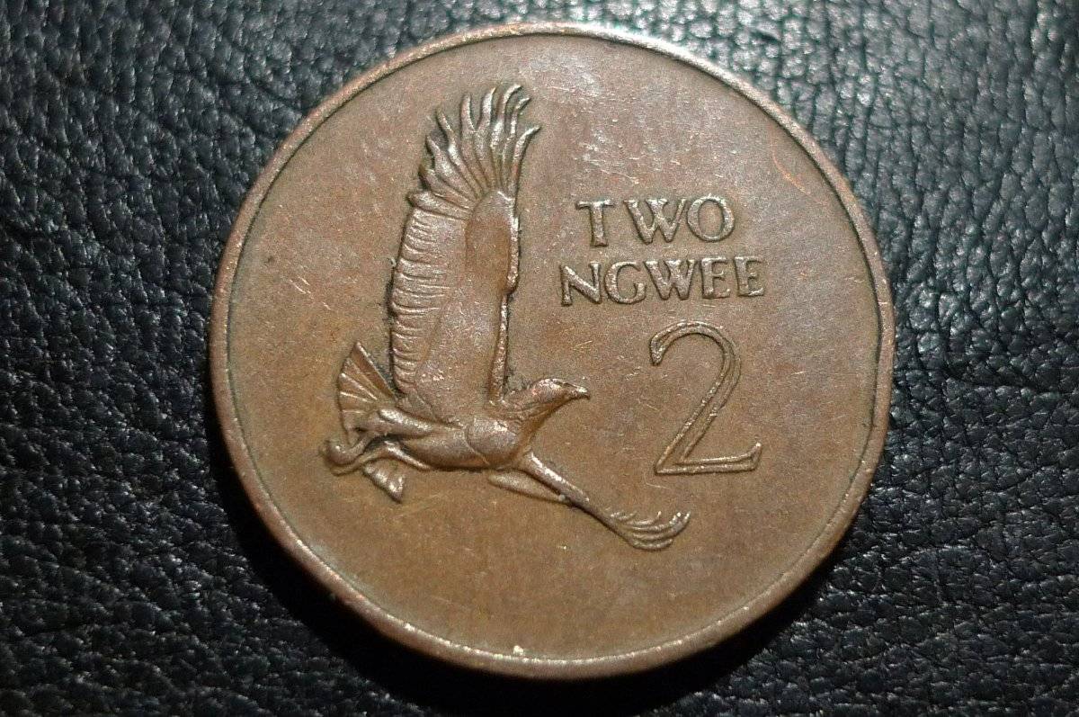 Post-Your-Coins-Representing-The-Animal-Kingdom.