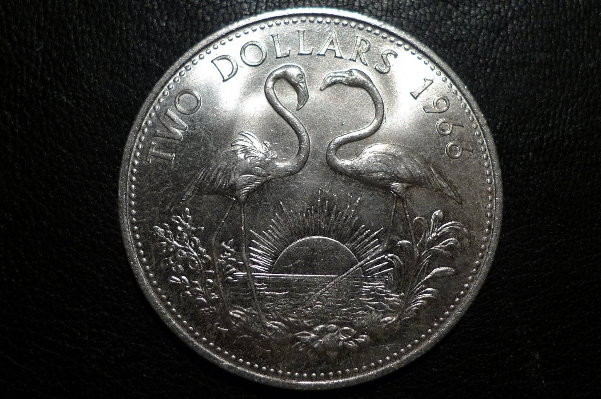 Yet-Another-Forum-Game---Numismatic-Go-Fish!